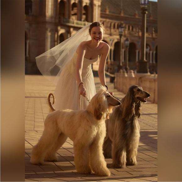 NWT Anthropologie BHLDN Strapless Satin/Tulle-Skirt Tea Length Dress Medium - Picture 9 of 16